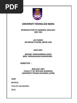 Contoh Report Assignment Uitm Written Report Assignment Eco162