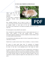 El Conejo y Sus Características Principales