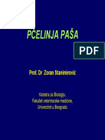 Pcelinja Pasa 1