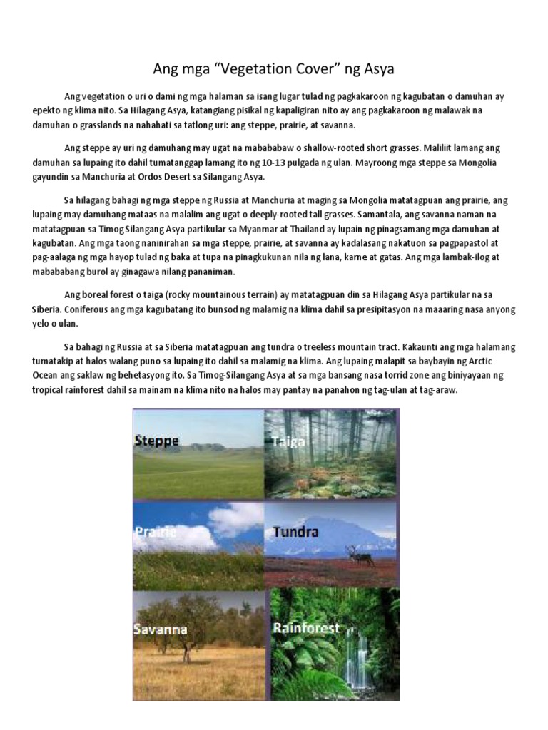 Ang Mga Vegetation Cover Ng Asya Pdf