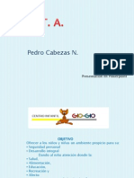 Pedro Cabezas N_T6