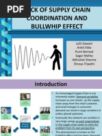 Download bullwhip effect by PunitBeri SN233602020 doc pdf