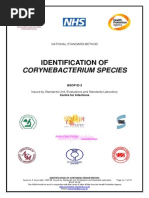 Download Identif Sp Corynebacterium by Ani Ioana SN233610605 doc pdf