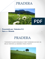 LA PRADERA en Power Point