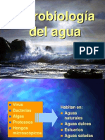 Microbiologia Del AguaExp II