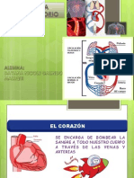 Cardiologia