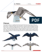falcon_e_a4