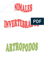 Animales Invertebrados