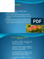 arboles frutales (1)
