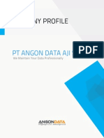 Company Profile Angon Data