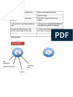 Cell Division: Mitosis and Meiosis Explained