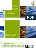 REMEDIACION