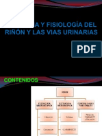 PIELONEFRITIS