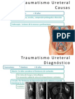 Traumatismo Ureteral