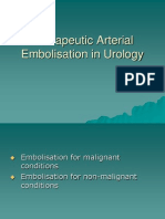 Therapeutic Arterial Embolisation in Urology