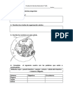 Prueba de Ciencias Naturales 5