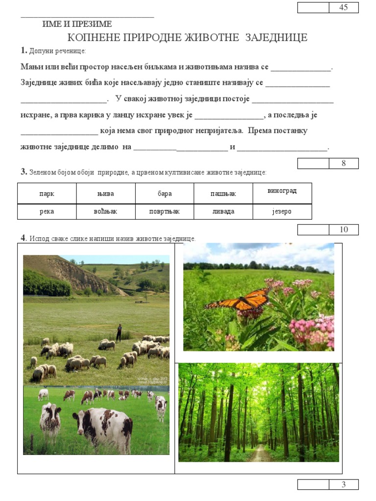 kontrolni pasnjak suma i livada