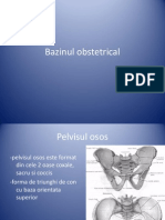 Bazinul Obstetrical