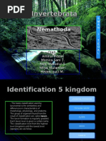 Download Invertebrata by amirur rozak SN23372236 doc pdf