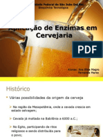 Apresentação_Enzimas_Cerveja