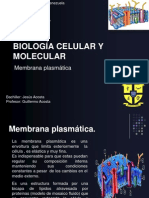 Biología Celular y Molecular (Clase IV Membrana Plasmatica)
