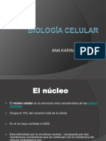 MEDICINA.. Biologia, Núcleo Ana Kari!!