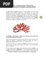 At 18 - Algas Comestiveis 2010