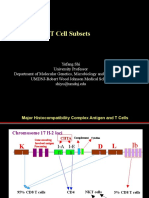 T helper cells lecture