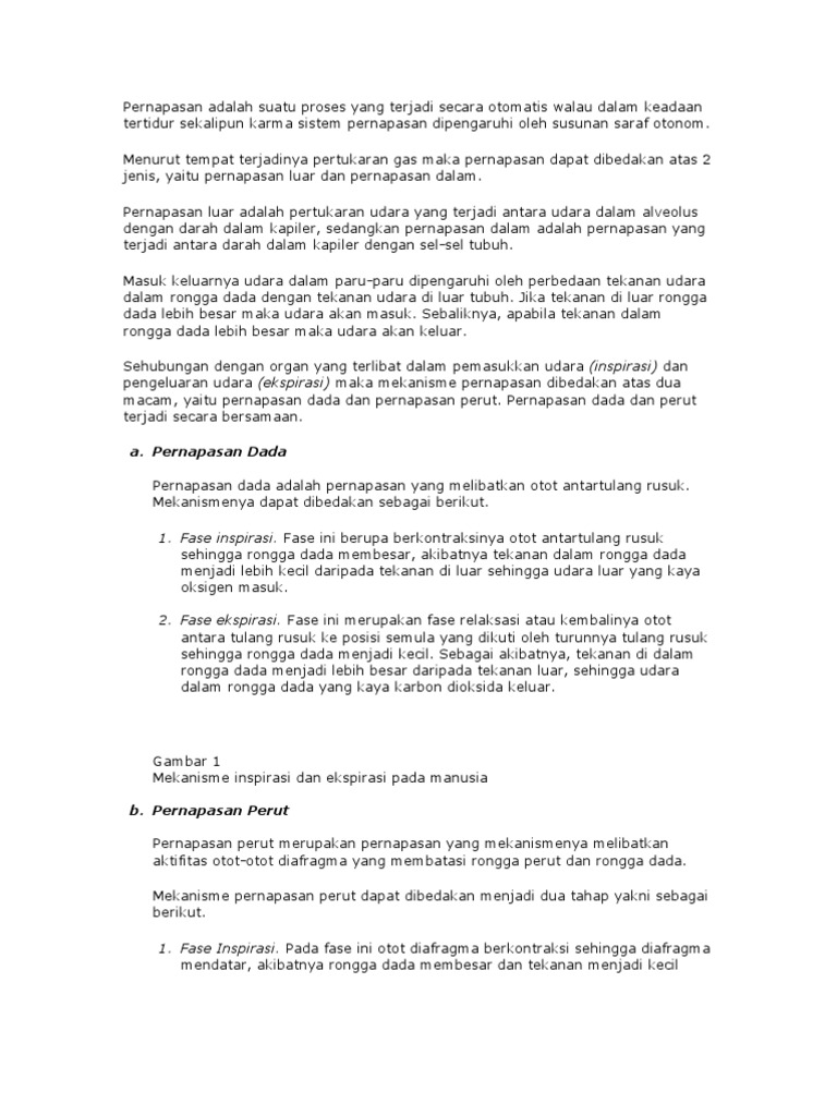 Sistem Pernafasan Inspirasi Dan Ekspirasi