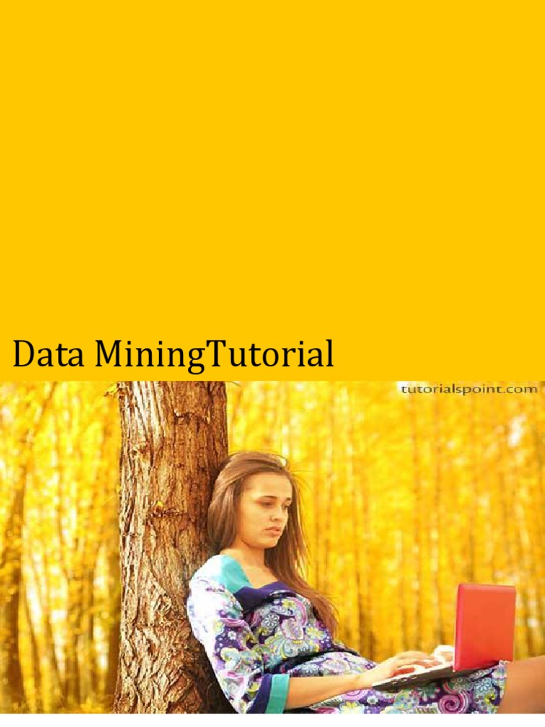 DM Tutorial | PDF