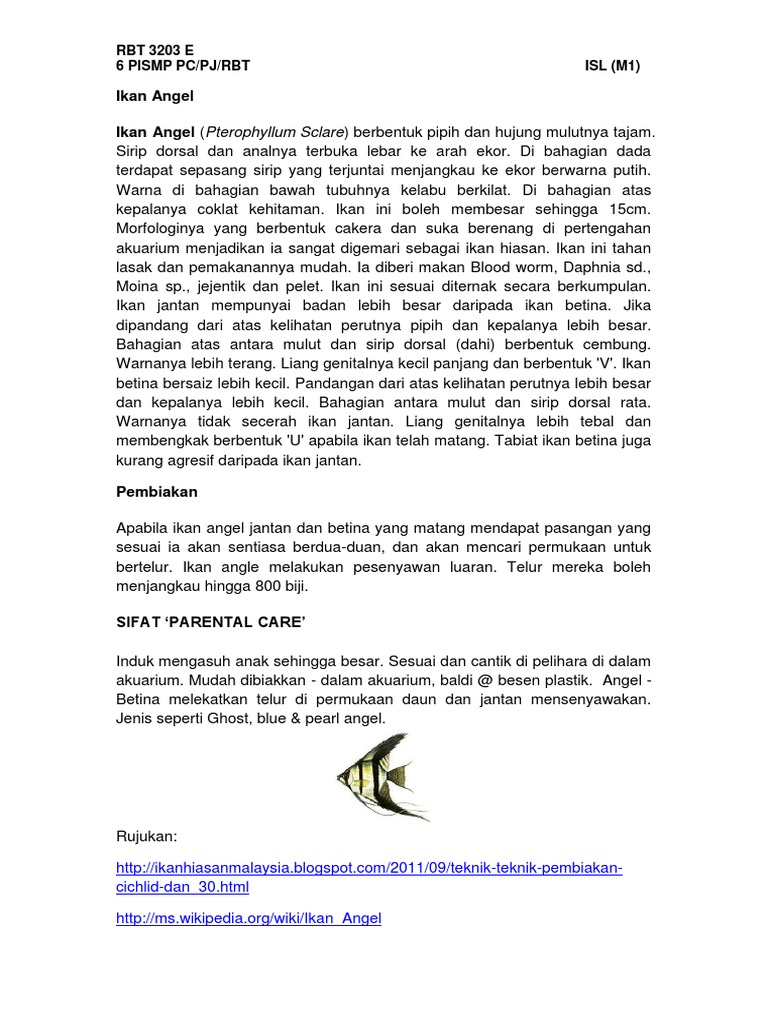 Ikan Angel Pdf