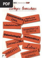 diretrizes curriculares profissoes