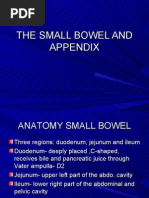 Download Powerpoint Lecture 10 The small bowel and appendix by jdoehex_87 SN23380249 doc pdf