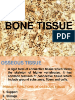 Bone Tissue