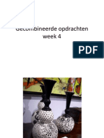 Dierenversiering Opdrachten Week 4 Gecombineerd