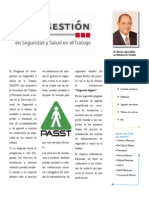 Capacitación y Asesoría PASST (JLMatus)