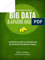 Executive Guide to Apache and Hadoop
