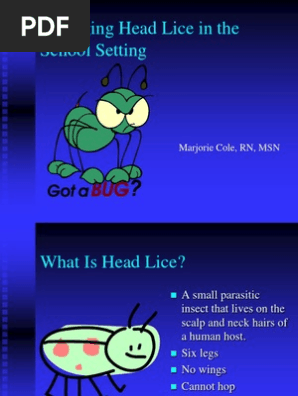 Head Lice