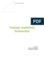 Trabajo Final Auditoria.doc