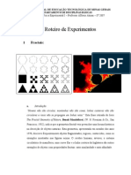 7456-Fractais e Idade Uni