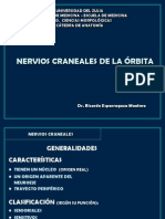 Orbitanervios