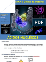 Ácidos Nucleicos - Duplicação Do DNA e Síntese Protéica