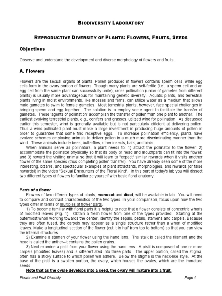B L R D P: F, F, S: Objectives | PDF | Fruit | Flowers