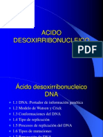 2 Dna