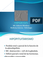 HIPÓFISIS 2