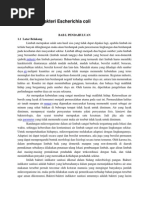 Download Identifikasi Bakteri Escherichia Coli by Vina Luph Adhy Clamanya SN233926281 doc pdf