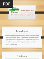 Lesão Medular Ivanildes.