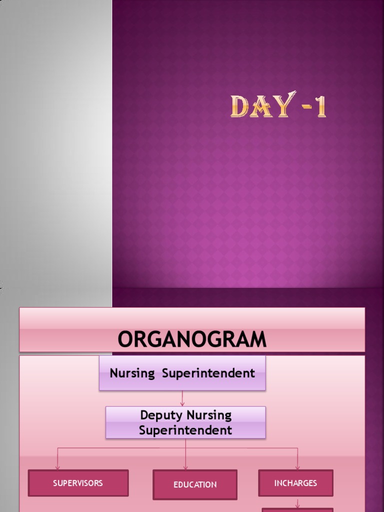 Nursing Induction Ppt Medical Record Visual Cortex