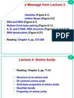 L4_Amino+Acids-v+_2_