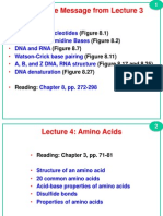 L4 Amino+Acids-v+ 2